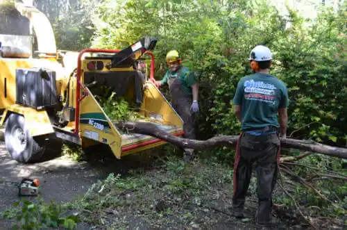 tree services Cobden